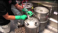 Mike's technician cleaning draft beer lines and keg couplers in green gloves — Draft Line Cleaning Service