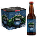 Deschutes Mirror Pond Pale Ale