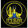 It's Alive Crisp Apple Kombucha Keg (5G)
